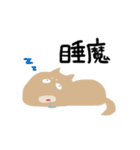 センスある柴犬（個別スタンプ：13）