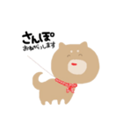 センスある柴犬（個別スタンプ：17）