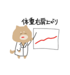 センスある柴犬（個別スタンプ：27）