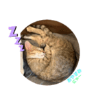 ねこナナちゃん（個別スタンプ：8）