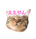 マルんぷ（個別スタンプ：9）