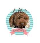 ここハウス（個別スタンプ：4）
