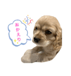 アメコカのろいくん（個別スタンプ：4）