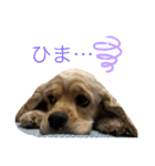 アメコカのろいくん（個別スタンプ：8）