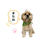 アメコカのろいくん（個別スタンプ：13）