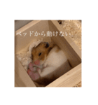 おまるとおもち。（日常ver）（個別スタンプ：2）