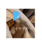 おまるとおもち。（日常ver）（個別スタンプ：4）