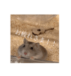 おまるとおもち。（日常ver）（個別スタンプ：5）