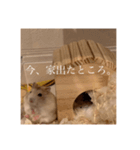 おまるとおもち。（日常ver）（個別スタンプ：6）