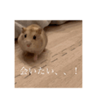 おまるとおもち。（日常ver）（個別スタンプ：7）