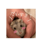おまるとおもち。（日常ver）（個別スタンプ：8）