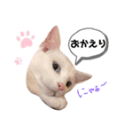 仲良し兄弟の1日♡（個別スタンプ：1）
