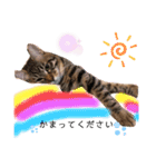 仲良し兄弟の1日♡（個別スタンプ：4）
