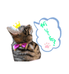 仲良し兄弟の1日♡（個別スタンプ：5）