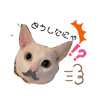 仲良し兄弟の1日♡（個別スタンプ：6）