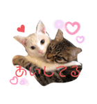 仲良し兄弟の1日♡（個別スタンプ：8）