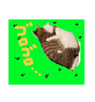 仲良し兄弟の1日♡（個別スタンプ：11）