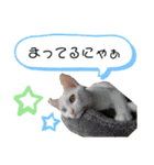仲良し兄弟の1日♡（個別スタンプ：12）
