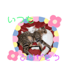 仲良し兄弟の1日♡（個別スタンプ：13）