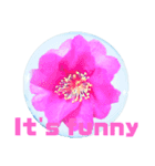 日常に使える彩り花スタンプ（English,ver)（個別スタンプ：10）