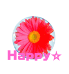 日常に使える彩り花スタンプ（English,ver)（個別スタンプ：16）