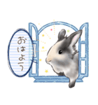 うさぎのリオンとあこ～結心～（個別スタンプ：3）