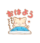 おうちで過ごそうねこ（個別スタンプ：20）