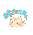 おうちで過ごそうねこ（個別スタンプ：31）