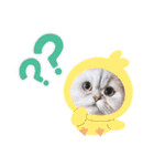 powa ＆ chami（個別スタンプ：4）