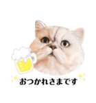 powa ＆ chami（個別スタンプ：16）