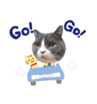 powa ＆ chami（個別スタンプ：22）