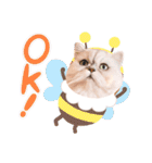 powa ＆ chami（個別スタンプ：27）
