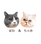 powa ＆ chami（個別スタンプ：40）