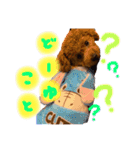 MARU0326（個別スタンプ：3）