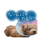 MARU0326（個別スタンプ：11）