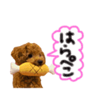 MARU0326（個別スタンプ：12）