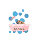 MARU0326（個別スタンプ：13）
