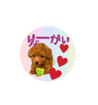 MARU0326（個別スタンプ：16）