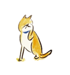 うちのタロー★（個別スタンプ：2）