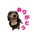リンちゃん＆レンくん（個別スタンプ：11）