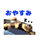 リンちゃん＆レンくん（個別スタンプ：16）