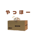むぎさんスタンプver2（個別スタンプ：1）