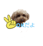 伝えたい挨拶（個別スタンプ：2）