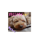 伝えたい挨拶（個別スタンプ：3）