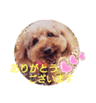 伝えたい挨拶（個別スタンプ：4）