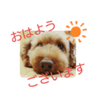 伝えたい挨拶（個別スタンプ：6）