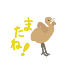 鳥のヒナたち（個別スタンプ：4）