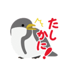 鳥のヒナたち（個別スタンプ：11）
