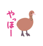 鳥のヒナたち（個別スタンプ：17）