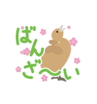 鳥のヒナたち（個別スタンプ：19）